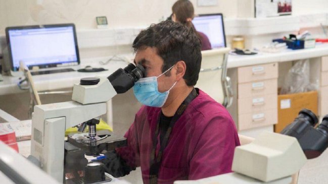 Región del Maule tiene 57 casos de la variante Delta