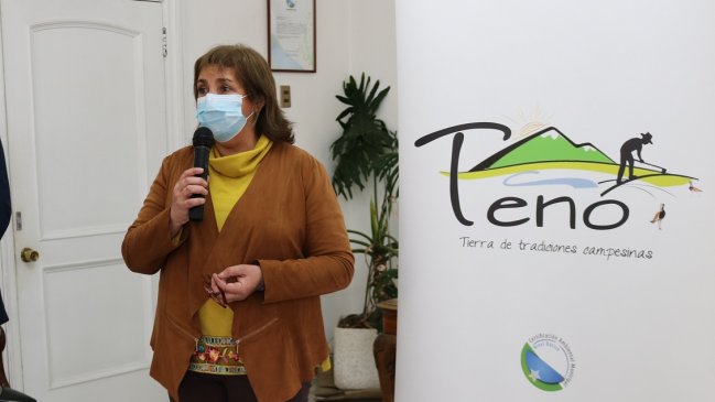 Municipio de Teno pedirá a la Subdere recursos para auditar gestión de administración anterior