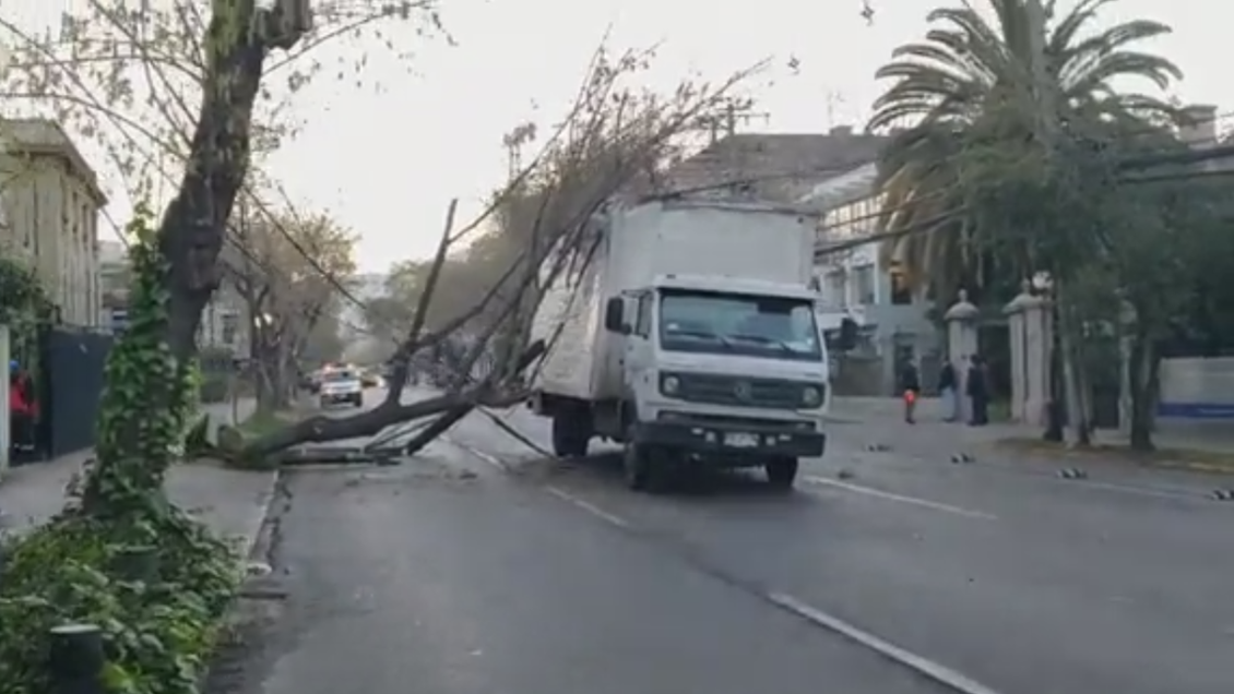 Camión derribó postes y árboles en Eliodoro Yáñez: Tránsito se mantiene cortado