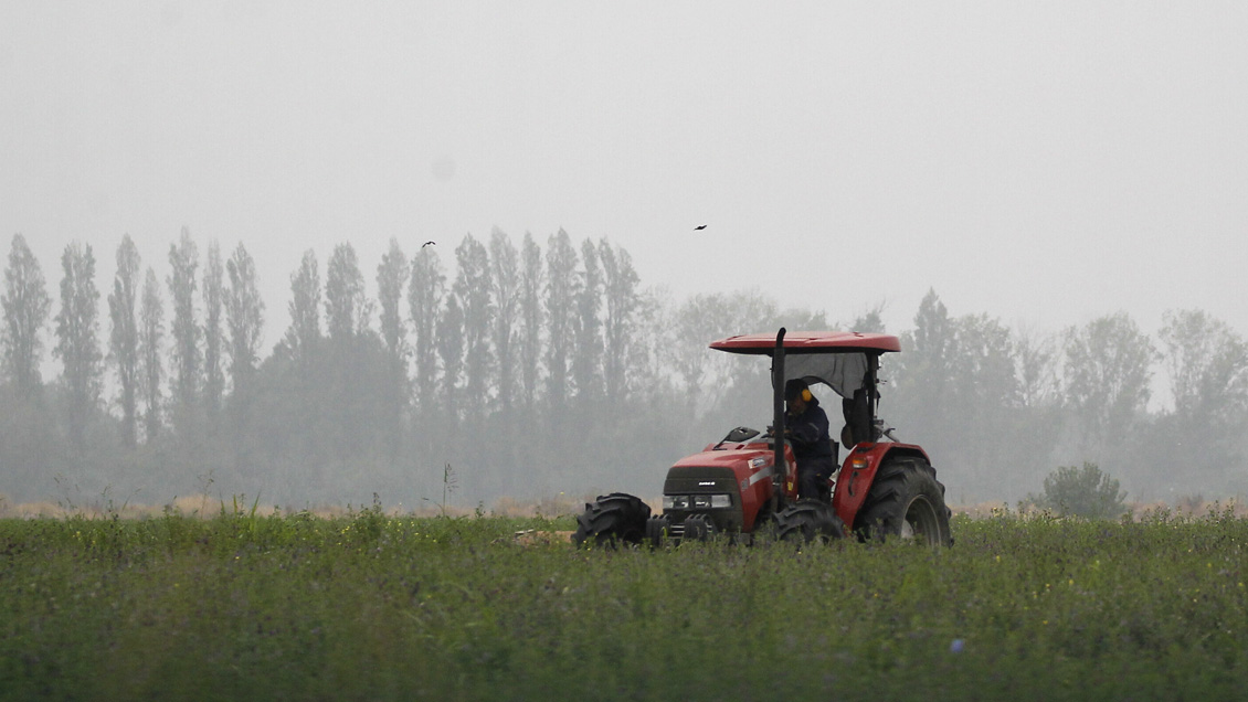 HortiTrade: 94% de productores que participaron en rueda de negocios con empresas hortícolas