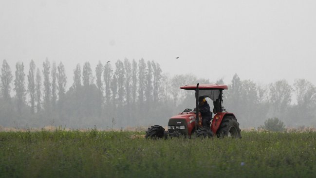 HortiTrade: 94% de productores que participaron en rueda de negocios con empresas hortícolas