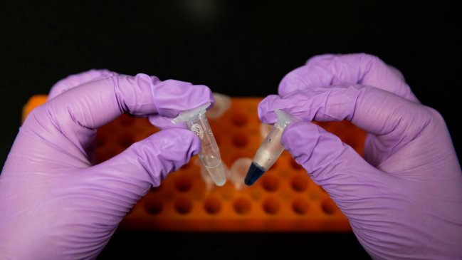 Científicos chinos sintetizan por primera vez almidón a partir de dióxido de carbono