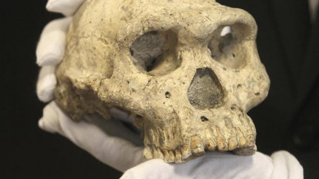 Hallan fósil de cráneo humano de 32.000 años en provincia china de Henan