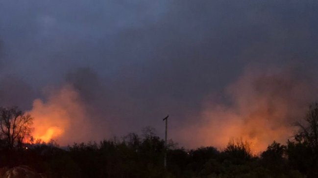 Conaf y Bomberos trabajarán durante la noche en incendio forestal en Tiltil