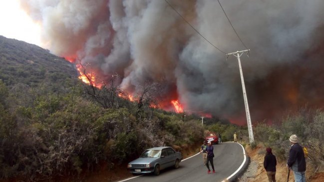 Al menos 12 casas quemadas por incendio forestal en Tiltil