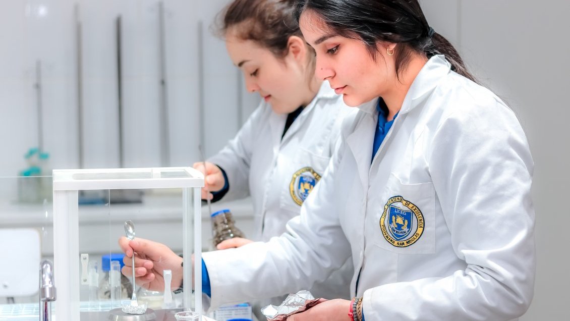 Liceo Bicentenario de San Nicolás expondrá en el “Lollapalooza” de la Educación Mundial