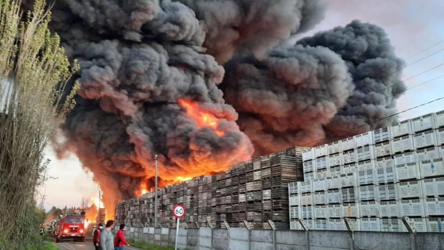 Municipio de Teno pidió que Contraloría se pronuncie por incendio en planta Agrozzi