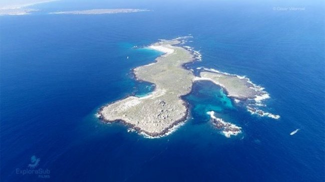 Gobierno presentará propuesta de polígono que crea Área Marina Archipiélago de Humboldt