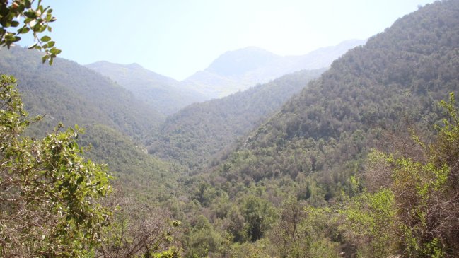 Con aforo y reserva previa, Conaf reabrió cumbre del Parque La Campana de Olmué