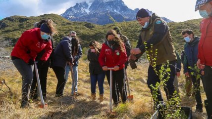   Un millón de árboles reforestados en Torres del Paine a 10 años del mega incendio 