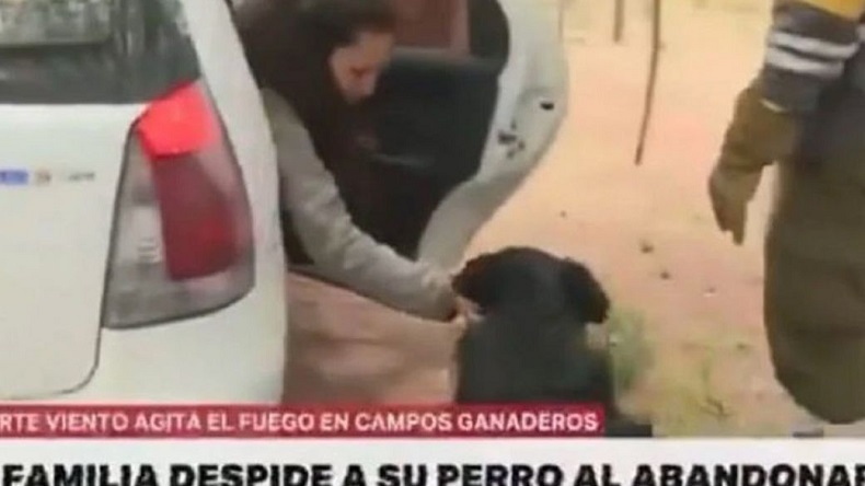 Familia huyó de su casa por incendios, dejó a su perro en el lugar y causó indignación