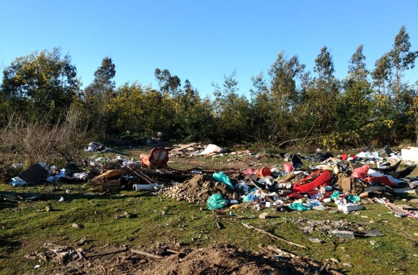 Organizaciones sociales retiraron más de cuatro toneladas de basura desde el Río Toltén