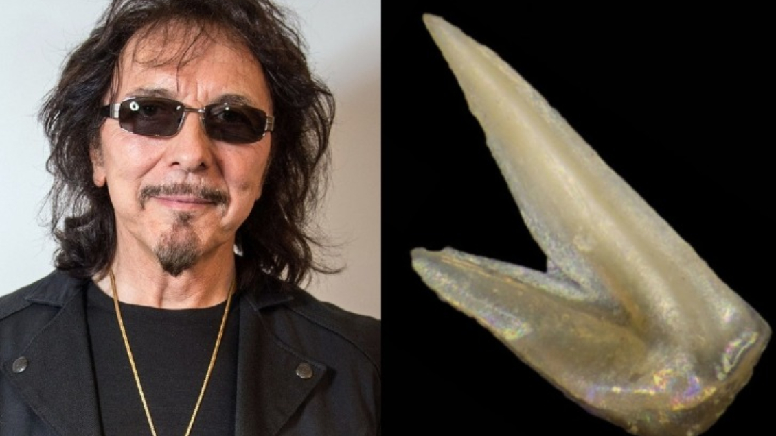 Paleontólogos nombran fósil en honor a Tony Iommi