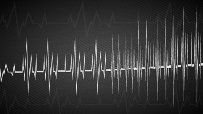 Sismo de menor intensidad afectó al extremo sur del país