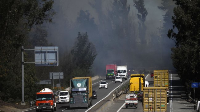 Incendio forestal afectó a la reserva nacional de Lago Peñuelas