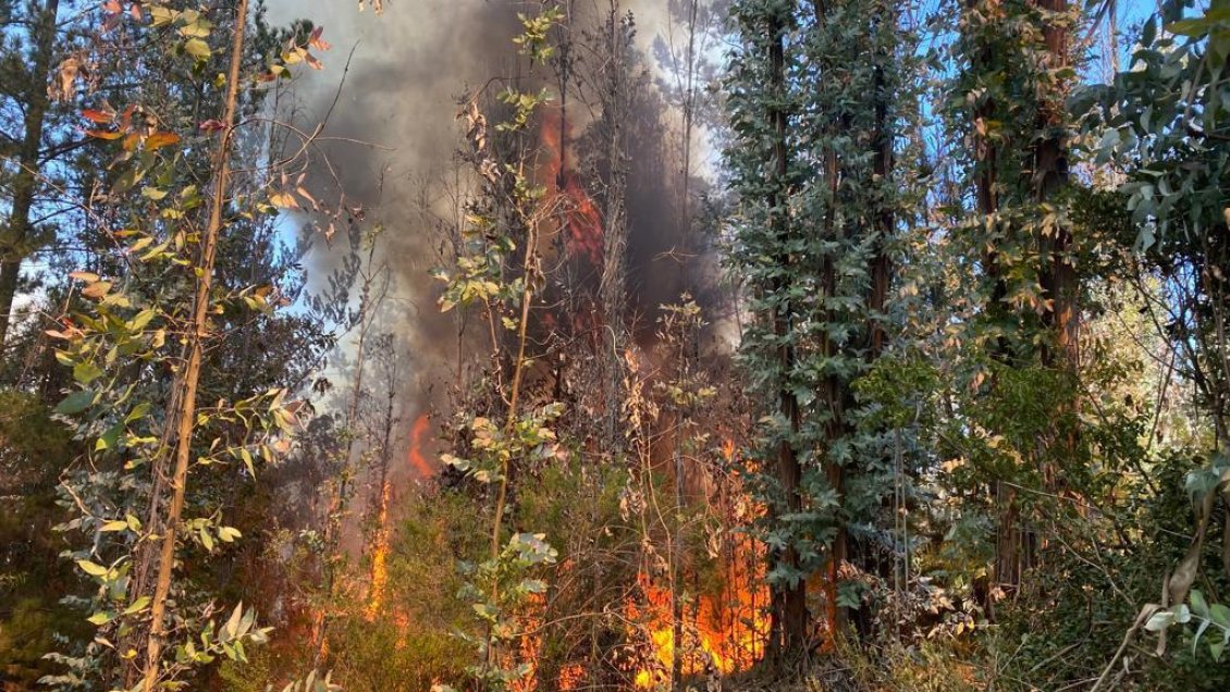 Valparaíso: Incendio del cruce Quintay está sin avance y con posibilidades de control