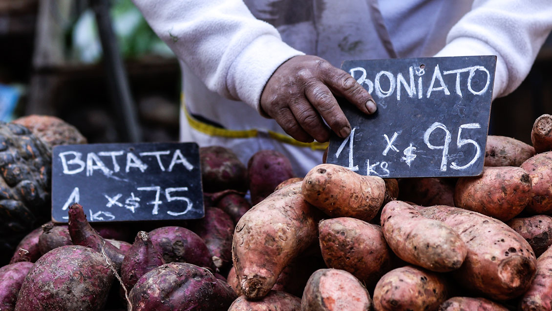Gobierno argentino negocia con empresarios la fijación de precios de los alimentos