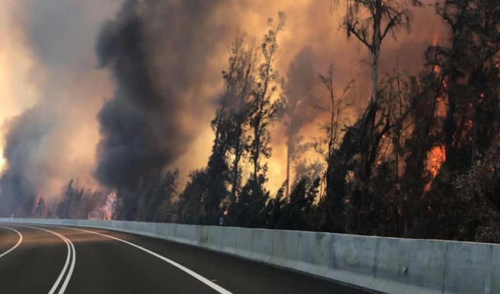 Alcalde interpuso querella tras incendio forestal de Panquehue: Sospechan relación con tomas de terreno