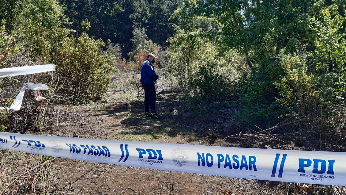 Perro encontró una extremidad humana en Parral: PDI investiga