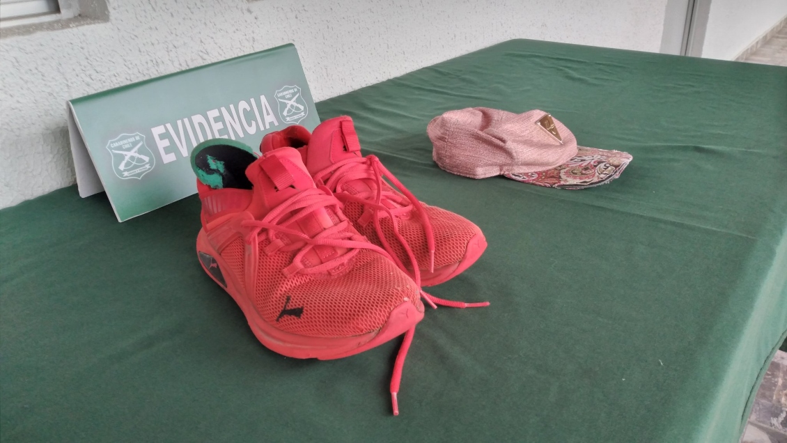 Carabineros detuvo a involucrados en riña registrada en la Vega Monumental de Concepción