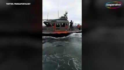   Los enfrentamientos entre la Armada y pescadores tras protesta en Valparaíso 