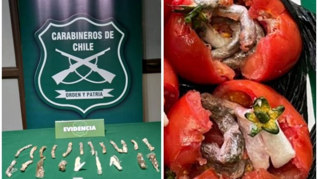 Tomates rellenos con droga: Mujer intentó ingresar éxtasis, marihuana y cocaína a la cárcel de Temuco