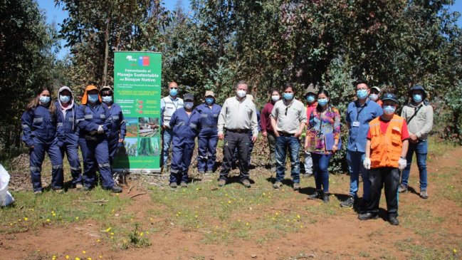 Reactivación económica en Ñuble potencia inclusión de mujeres en labores forestales