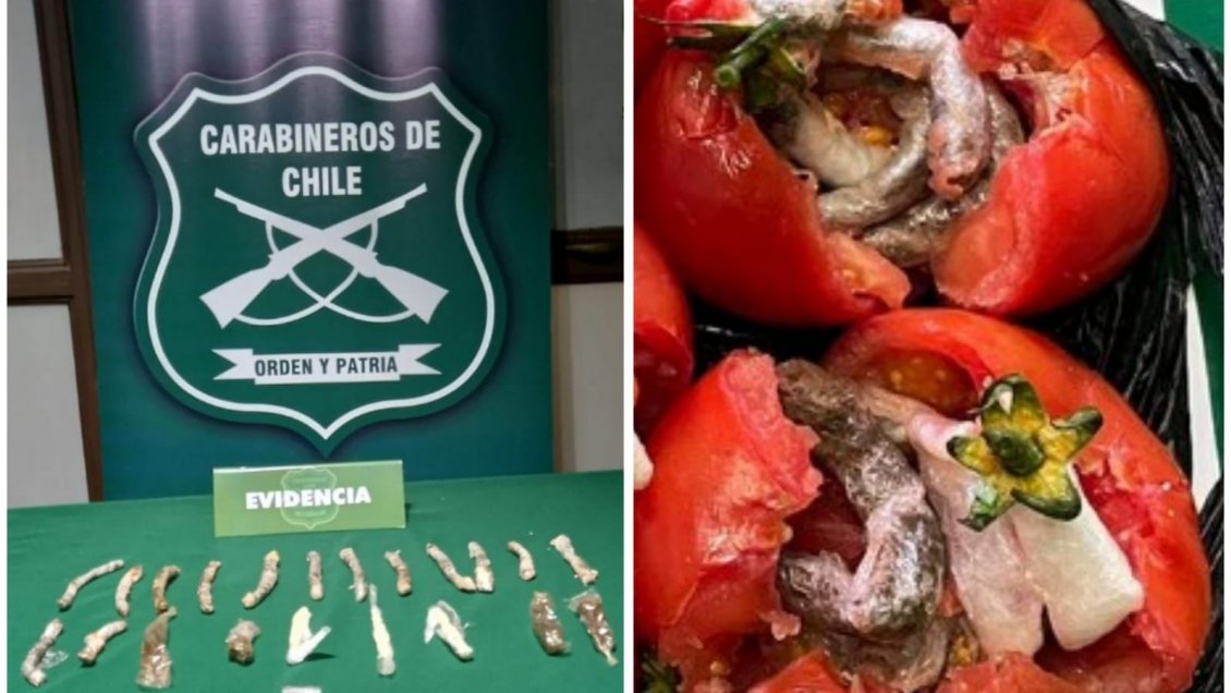 Tomates rellenos con droga: Mujer intentó ingresar éxtasis, marihuana y cocaína a la cárcel de Temuco