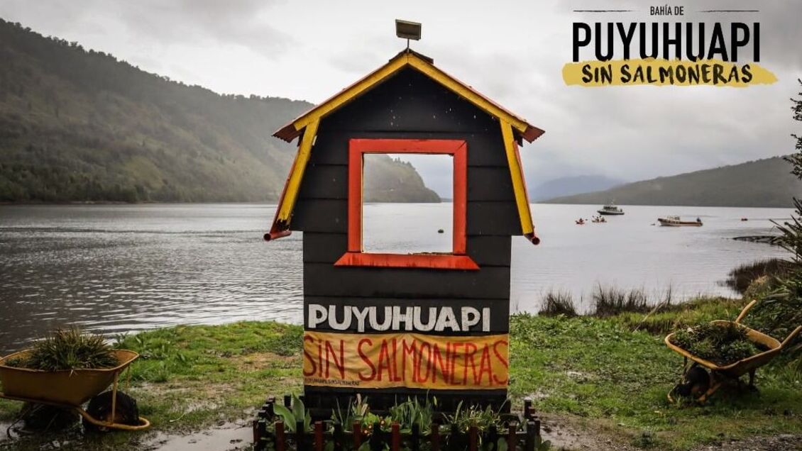 Coyhaique: Rechazaron recurso de protección contra salmonera en Puyuhuapi