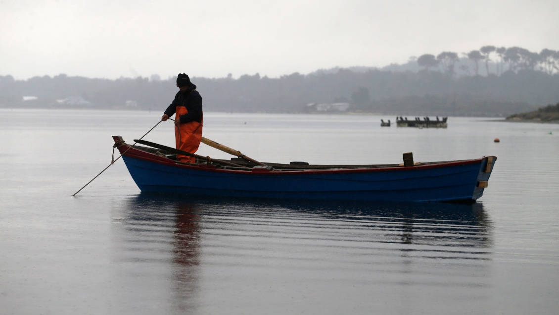 Seremi de Salud prohibió extraer mariscos en Hualaihué por presencia de marea roja