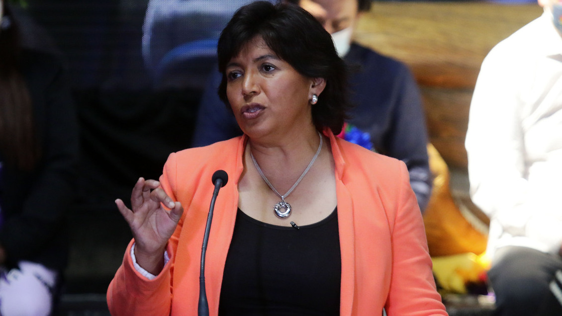 Reforma tributaria y mirada plurinacional destacan en programa de gobierno de Provoste