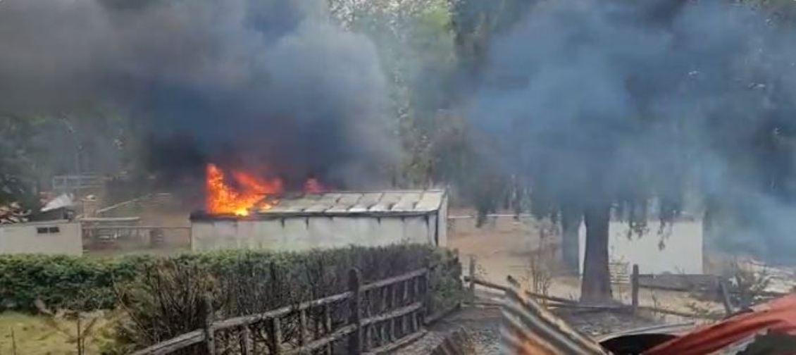 Nueve viviendas y siete vehículos fueron quemados en ataque incendiario en Carahue