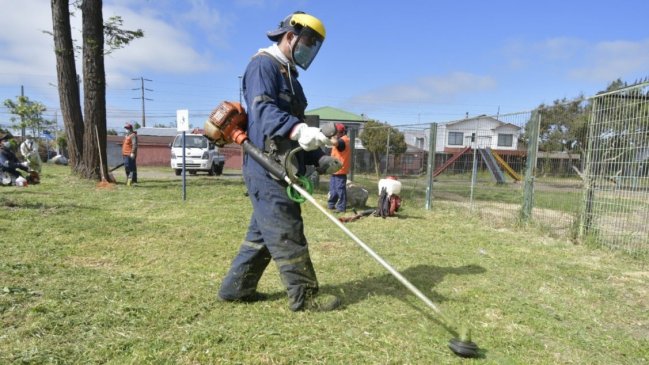 Municipio de Chillán trabaja en plan de emergencia para mantención de áreas verdes