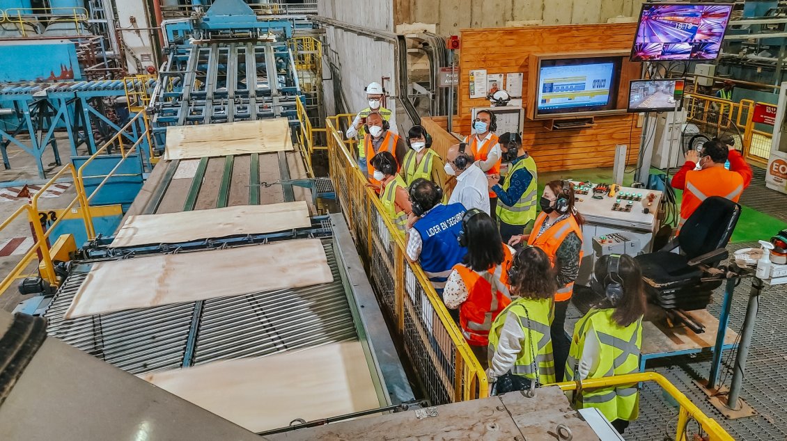 Embajadores del Sudeste Asiático visitaron planta de celulosa en su gira por Ñuble