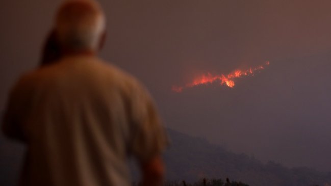 Incendio forestal ha consumido 166 hectáreas de bosque en Paine