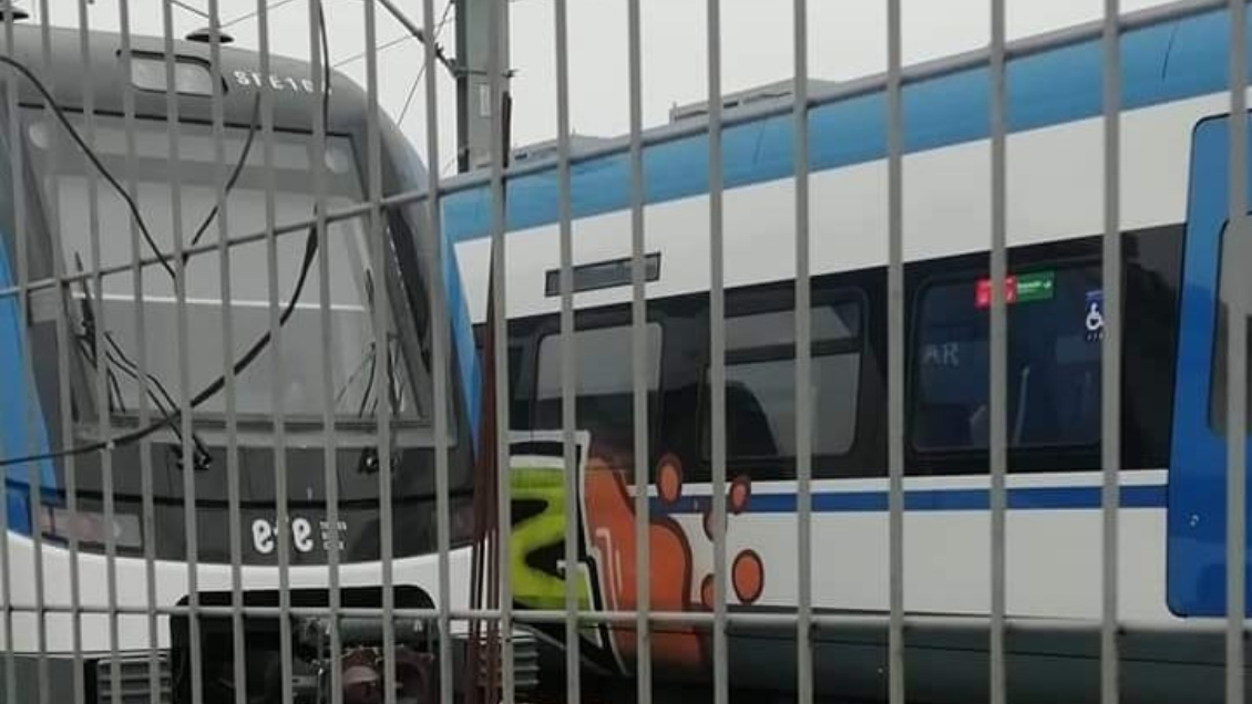 Trenes inaugurados hace una semana fueron rayados en Coronel: Interpondrán acciones legales