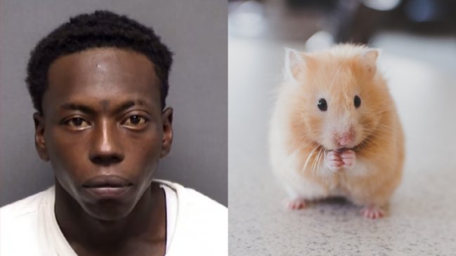 Hombre que aplastó y mató al hámster de un niño podría pasar 25 años en prisión