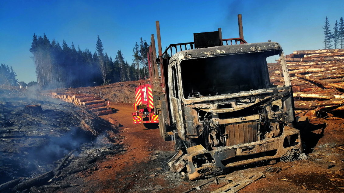 Chile le pidió a Argentina enfrentar juntos la violencia en territorio mapuche, según Clarín