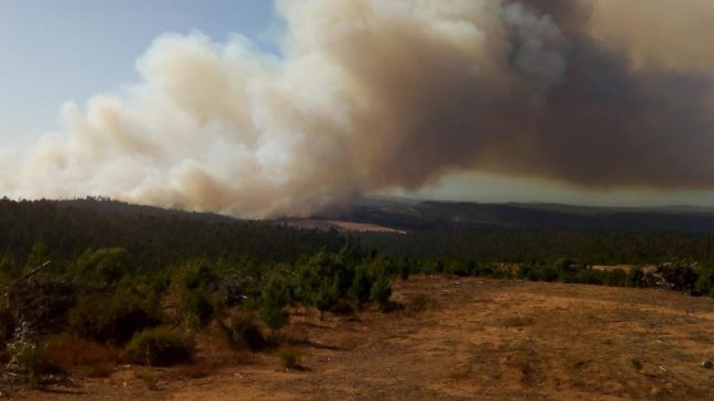 Instalan mesa interregional sobre investigación de incendios forestales