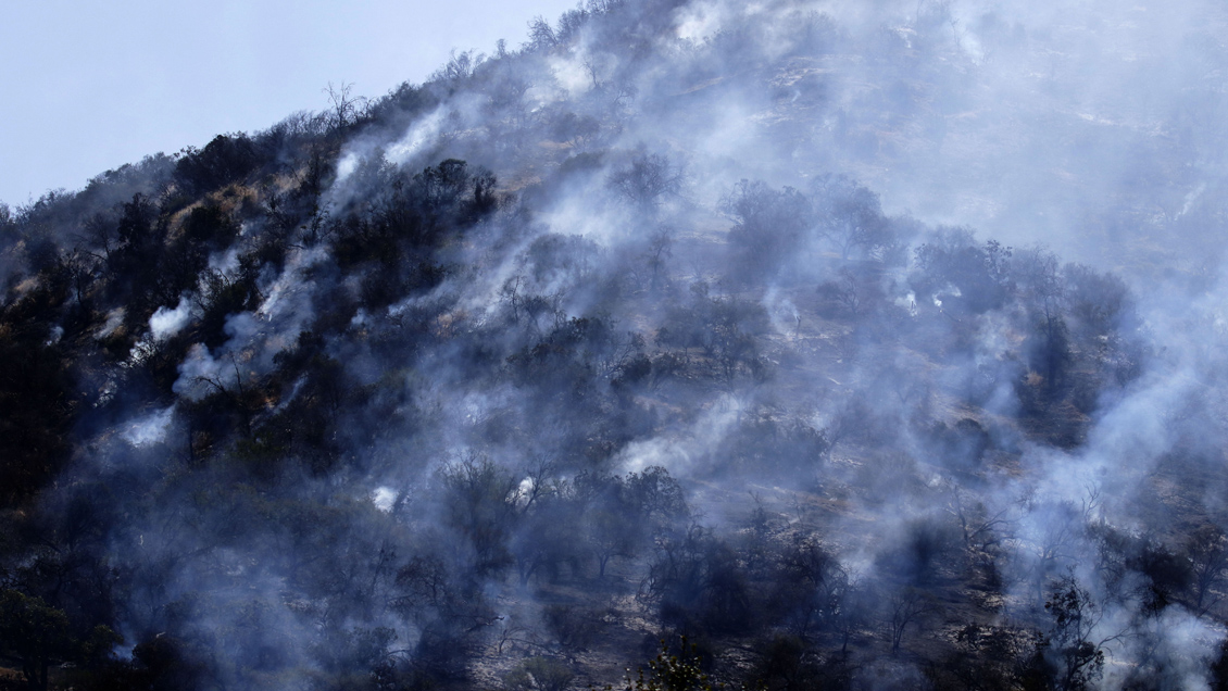 Incendio forestal afecta al Cerro Manquehue en Vitacura