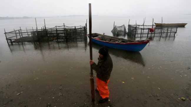 Autoridades sanitarias levantaron prohibición de extraer mariscos por marea roja en Hualaihué