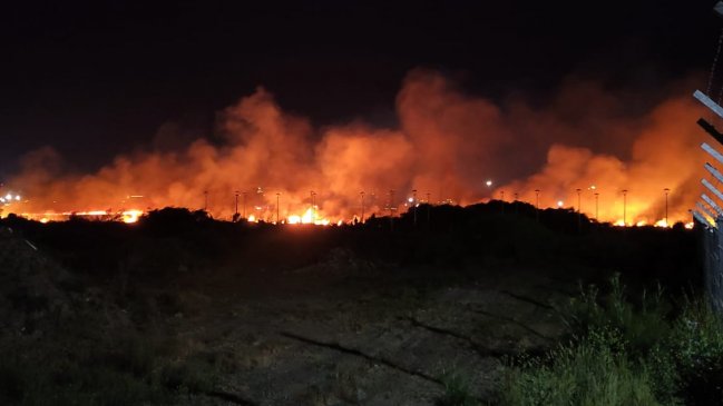 Desastre ecológico en Concepción: Incendio arrasa con el humedal Paicaví