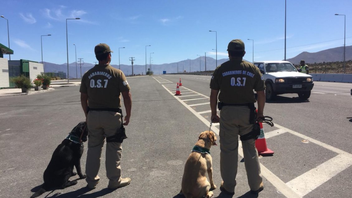 Tres sujetos quedaron en prisión preventiva por trasladar marihuana en el Ñuble