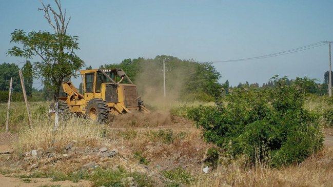 Conaf sumará 320 kilómetros de cortafuegos para prevenir incendios forestales en Ñuble