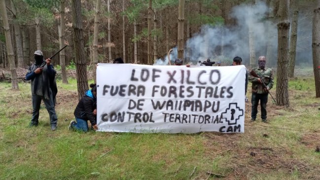 Comunidad mapuche inició toma de dos fundos en la comuna de Galvarino