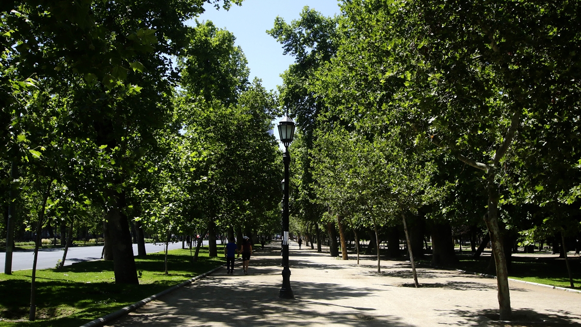 Municipio de Santiago acusa que evaluación ambiental del trazado de la Línea 7 es 