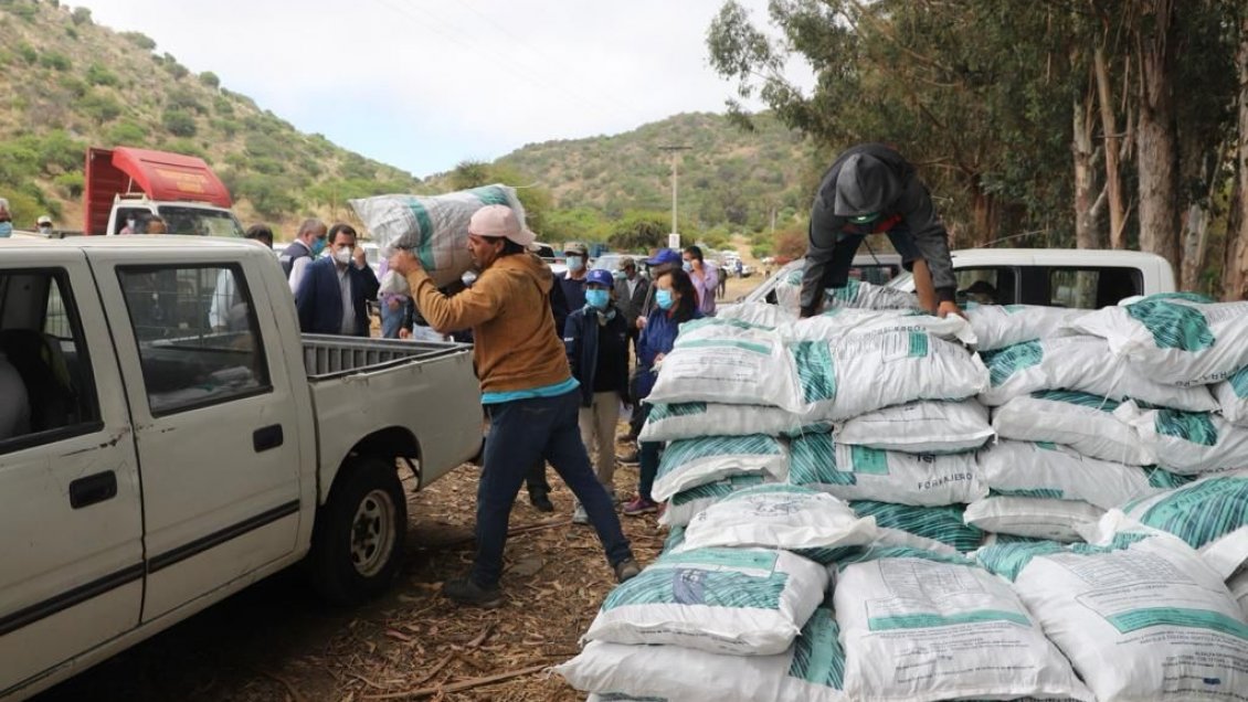 O'Higgins: Entregan forraje a agricultores afectados por la sequía