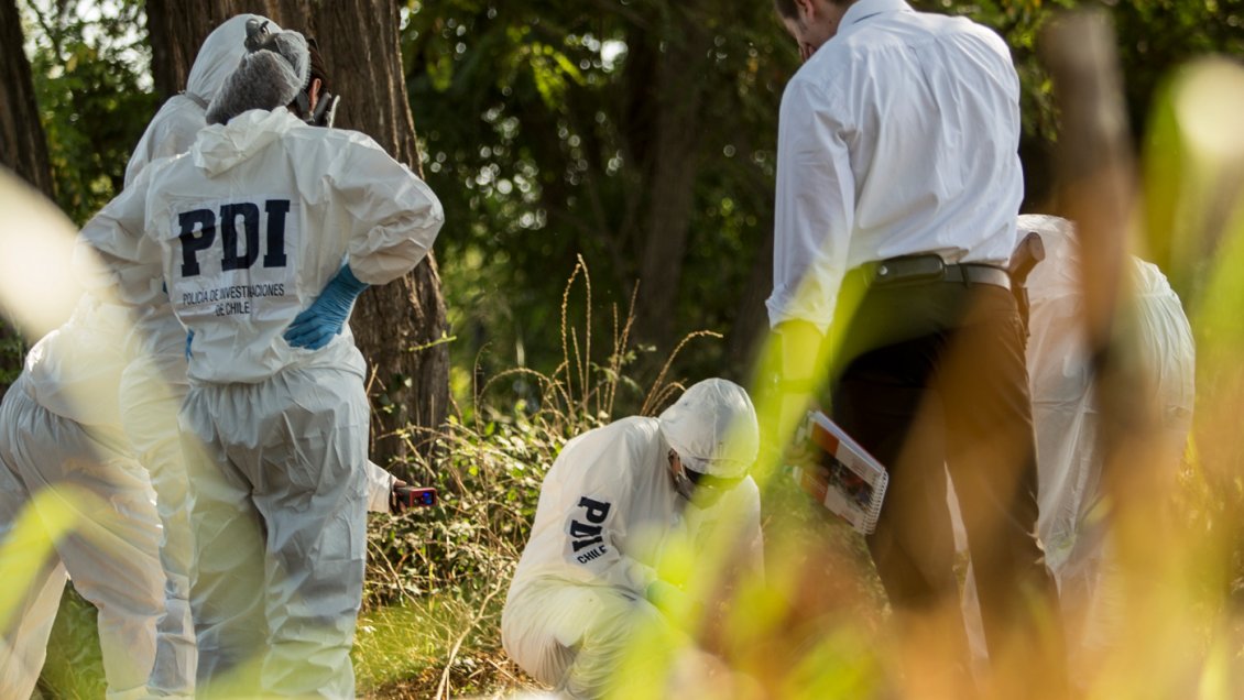 Hallan cadáver de adulto mayor en sector boscoso de Quillón