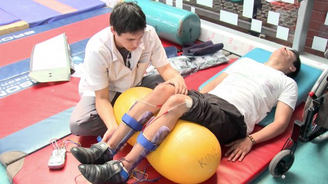 Chiloé inicia campaña para que su centro de rehabilitación sea 