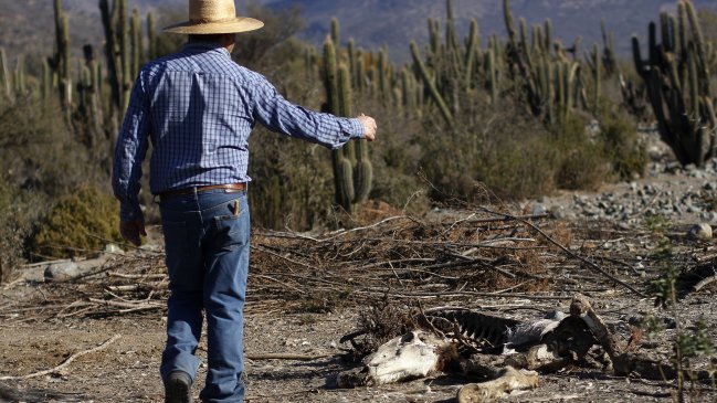 Los Ríos fue declarada bajo escasez hídrica: La mitad del país está en una 